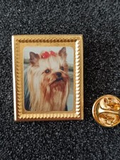 Pin's Pins Pin Enamel 52  Animaux  Chien Dog "YORKSHIRE" 