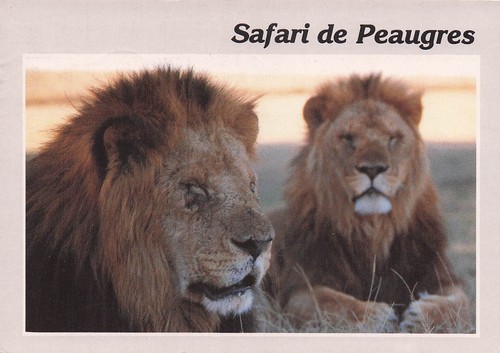 Peaugres safari - peaugres,