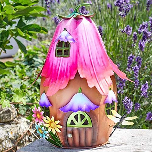 Fuchsia foyer maisons de - cm,