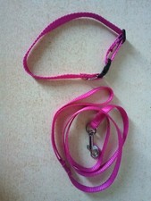 Collier et laisse pour petit chien ou chat en nylon 