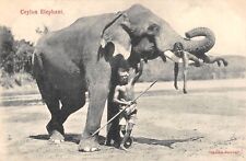 CPA CEYLON ELEPHANT 
