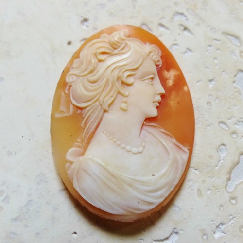 Camee coquillage ancien - camee,