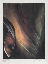 Jonathan Singer,Africain Pré