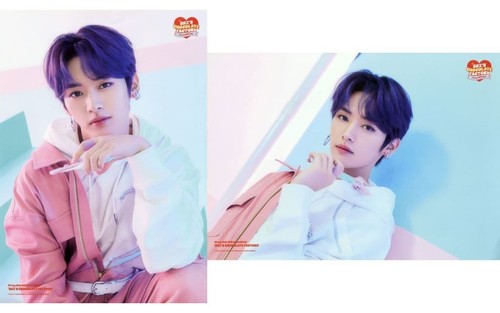 Stray kids poster set - stray,