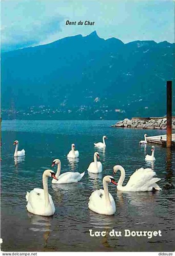 Carte postale animaux - postale,