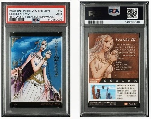 Psa nefertari vivi one piece - 9,