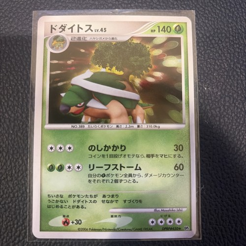 Torterra dpbp 450 space - space, time
