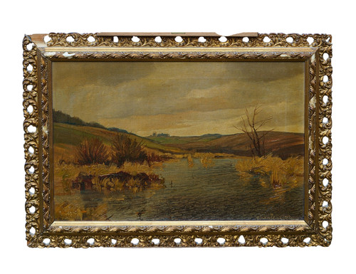 Johan jacobsen marécage - jacobsen, avec