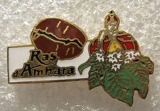 Pin's Alimentation Grain Café