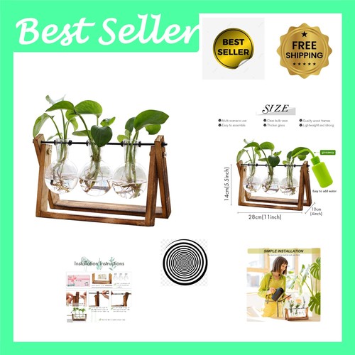Elegant bulb glass - glass, terrarium