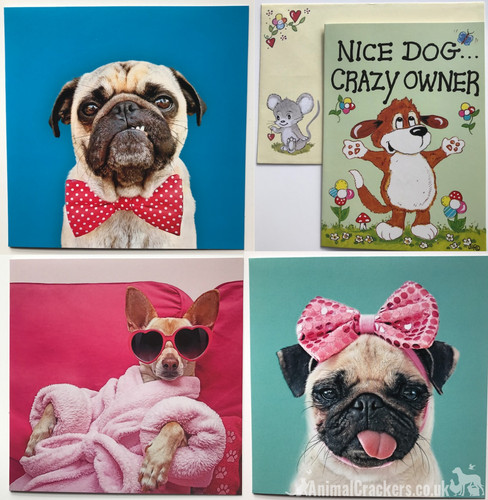 Carte souhaits jolie chien - carte, de