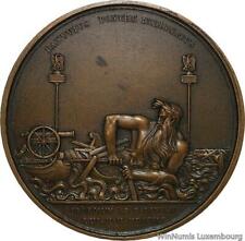 D5403 Rare Medal Austria