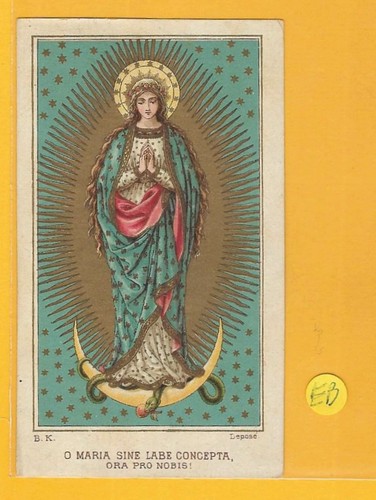Canivet holly card vera - card,