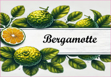 Bergamotte 12 Etiquettes