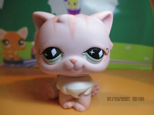 Petshop chat persan - chat, #460