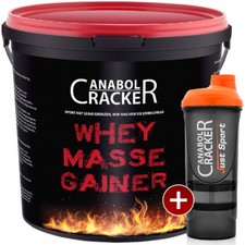 3000g whey masse gainer poudre - masse,