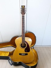 TAKEHARU FT-150 Acoustic