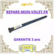 Moteur Somfy Oximo RTS 10/17