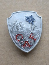 Bel insigne, broche de ski et