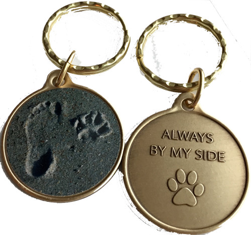Always side dog pet paw - always,