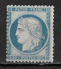 RARE SUPERBE VARIETE ANNEAU