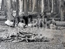 Photo de presse vintage