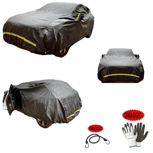 Pour renault scã nic dci - pour,