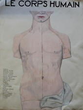 "LE CORPS HUMAIN" Maquette