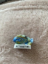 FEVE poisson coffre pintade