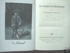 2803 LUCANUS Dans La Magie De