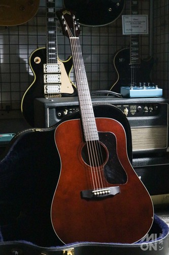 Guild d25m 1979 - 1979, (no260621)