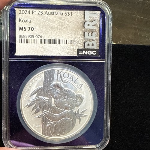 2024 p125 australia - 2024,