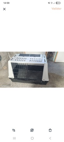 Caisse transport chien - caisse,