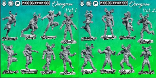 Overgrow equipe elfes sylvain - overgrow,