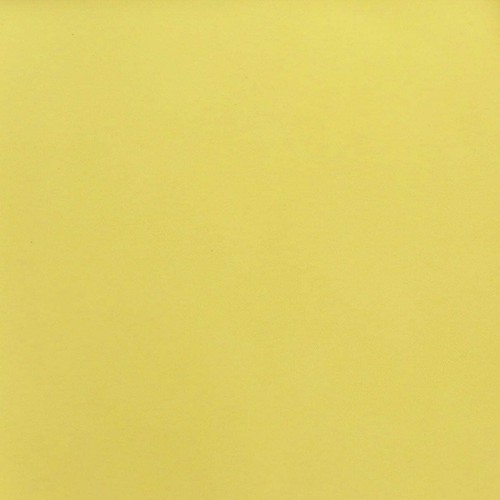 Morceau croûte cuir - de, de