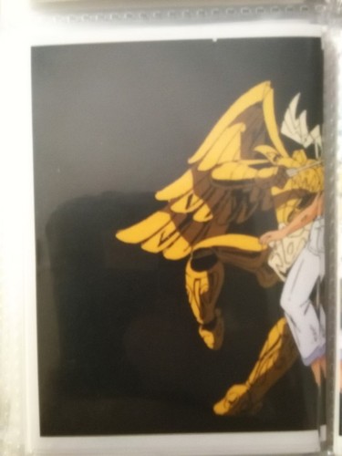Saint seiya chevaliers - saint,