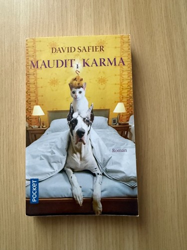 Maudit karma david safier - karma,