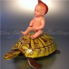 Tortue De Lehmann Susi 827