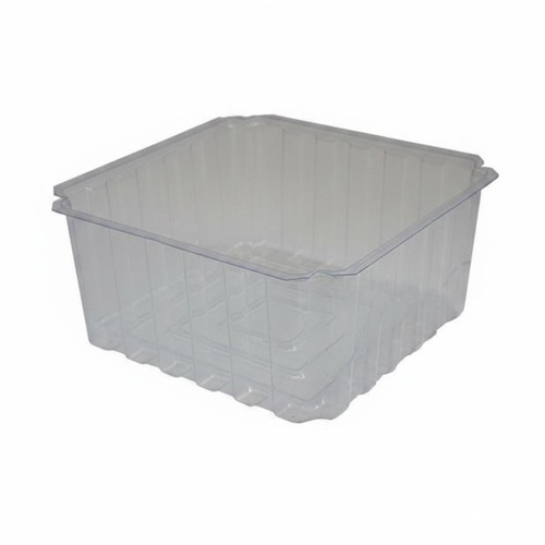 Bac reptile aquatique - reptile,