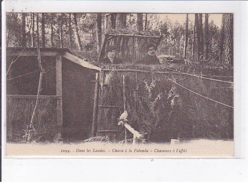 Landes chasse la - chasse,