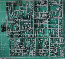 Warhammer Old world : 10