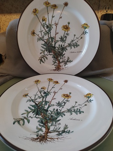 Pair villeroy boch - pair,