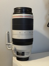 Canon EF 100-400mm f/4.5-5.6L