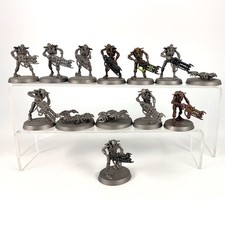 x13 Guerriers + Scarabés