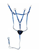 Pectorale Avec Martingale