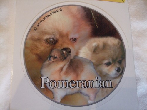 Autocollant motif chien - 1,