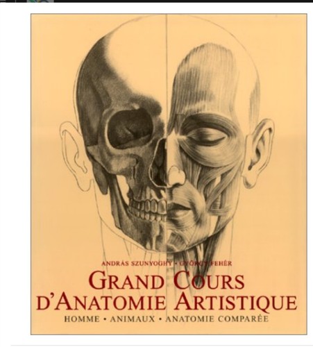 Grand cours d - ,