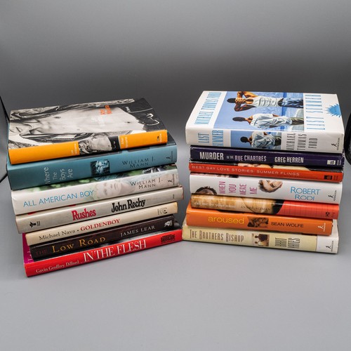 Gay novels erotica - erotica,