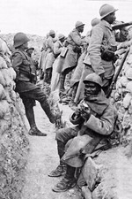 ww1 Photo Tirailleur