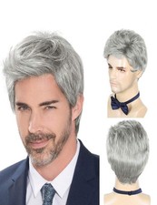 Perruque Homme Courte Wig Synthétique Grise Pale Argenté Dégradé Lisse